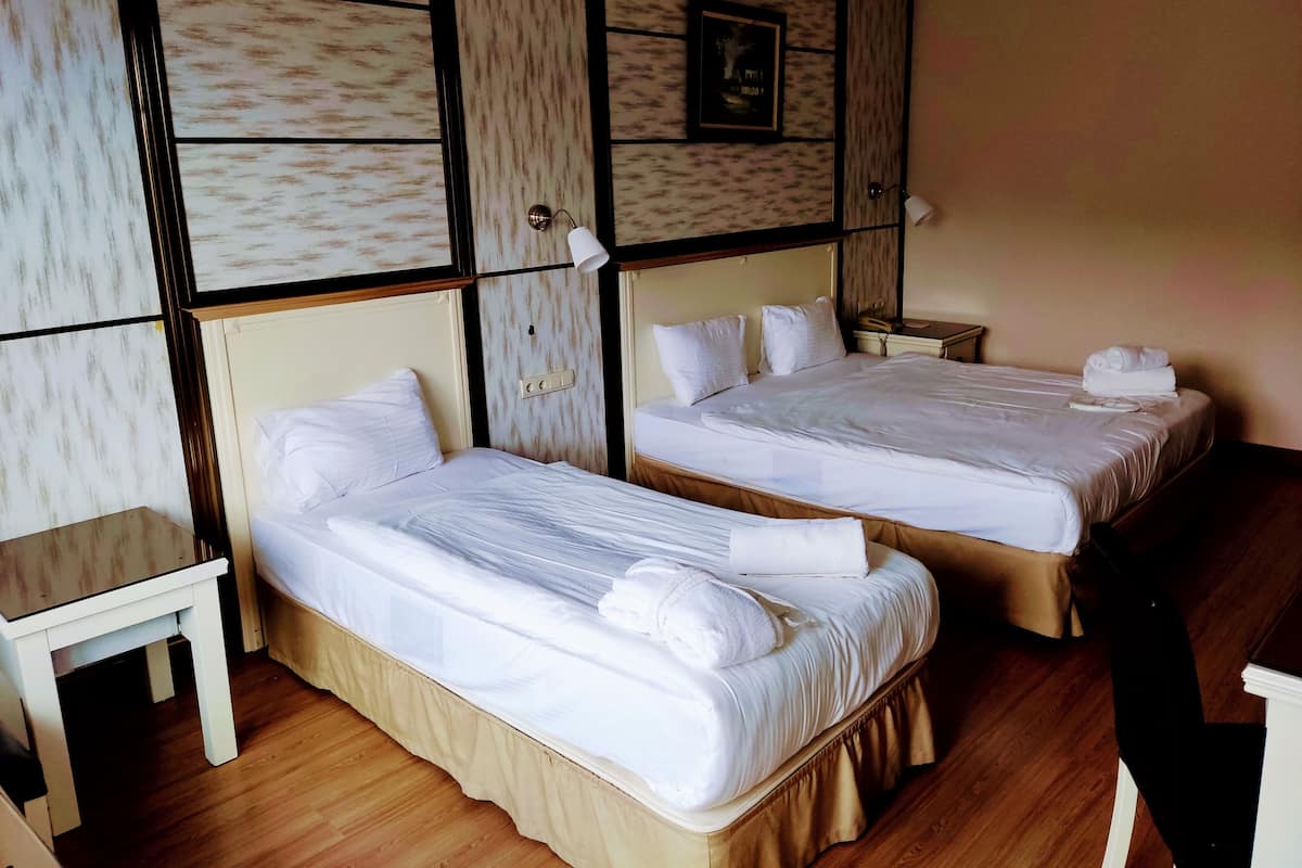 Deluxe driepersoonskamer, balkon, uitzicht op bergen | Een minibar, een kluis op de kamer, een laptopwerkplek