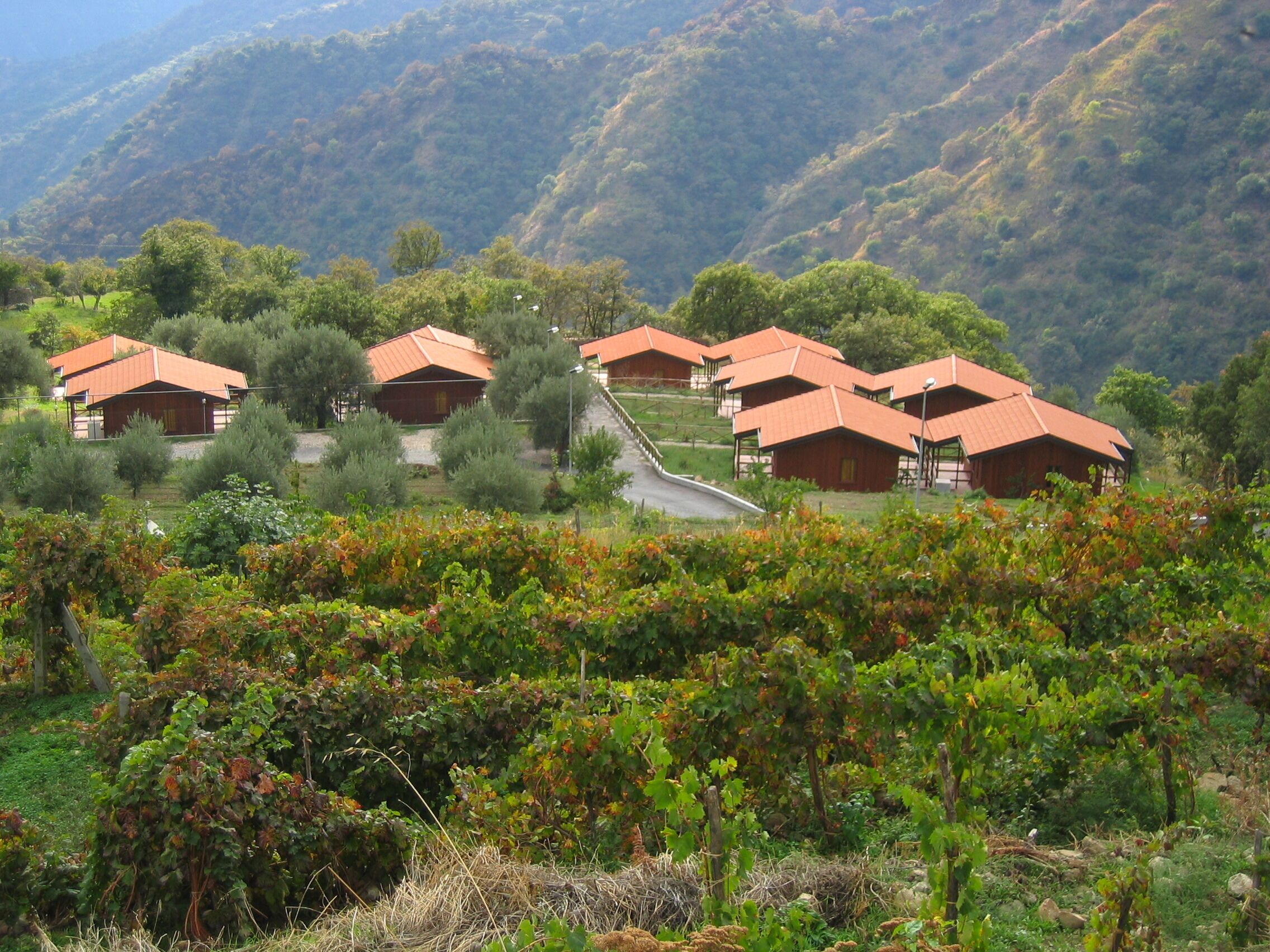 Superior Chalet | In-room safe, free WiFi, bed sheets