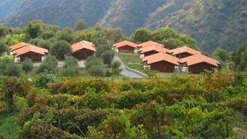 Superior Chalet | In-room safe, free WiFi, bed sheets