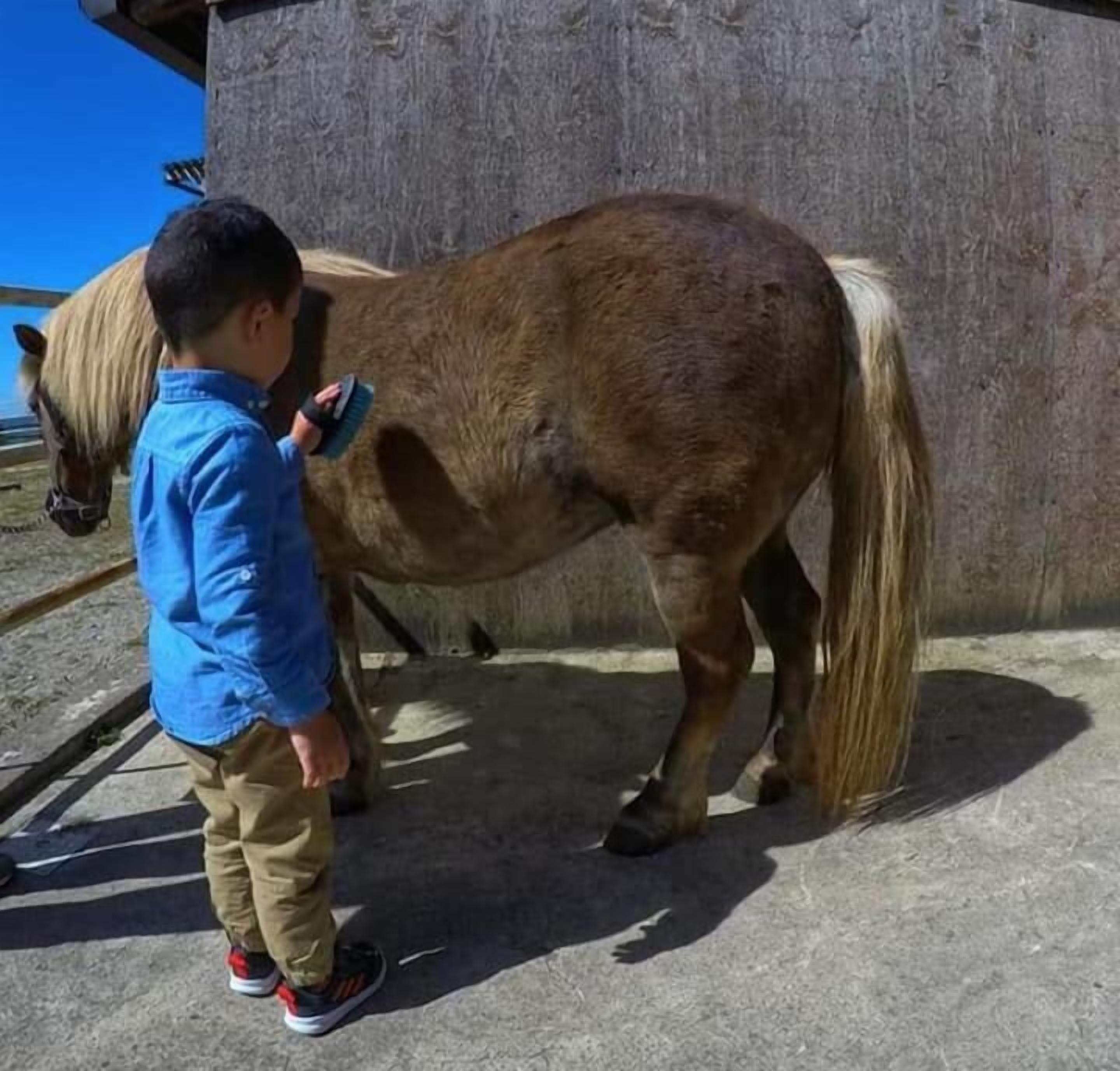 숙박 시설 구내