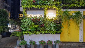 A building facade with a sign reading "33 VIEI LOTUS" and a yellow door.