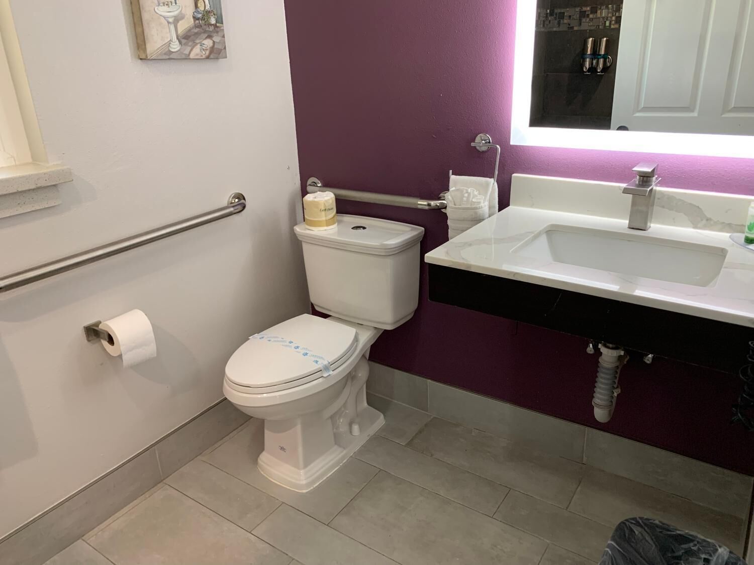 A bathroom with a white toilet, purple walls, a white sink, and a handrail.