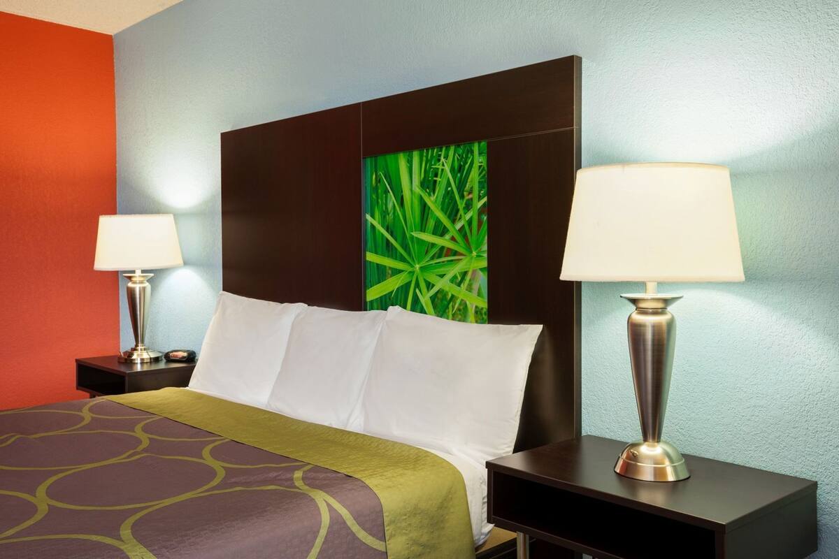 A hotel room with a bed, two bedside tables, a green plant, and a wall with a red and blue color scheme.