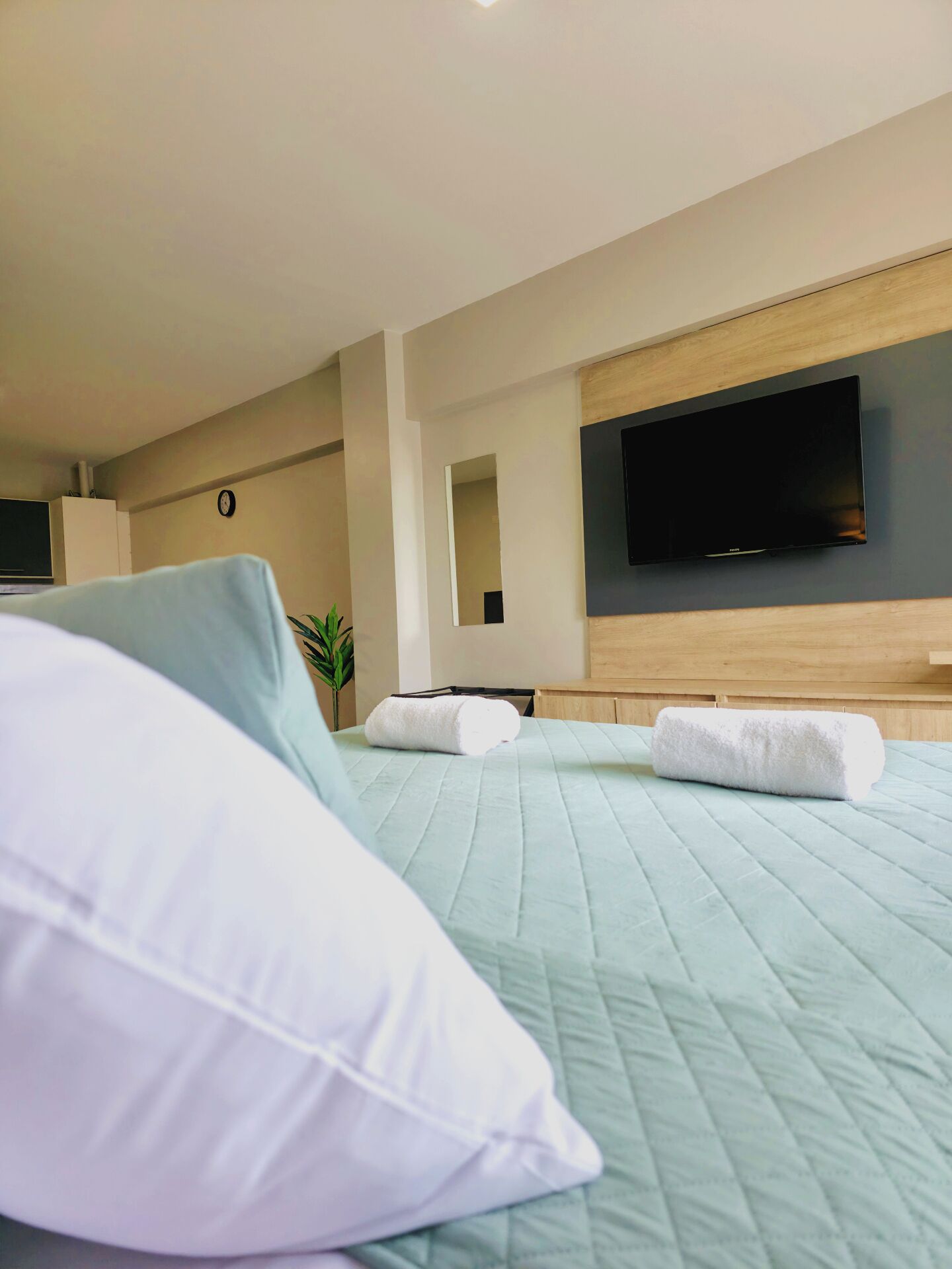 Una habitación de hotel con cama, televisor y planta.