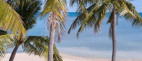 A beach scene with palm trees and a hammock on the sand.