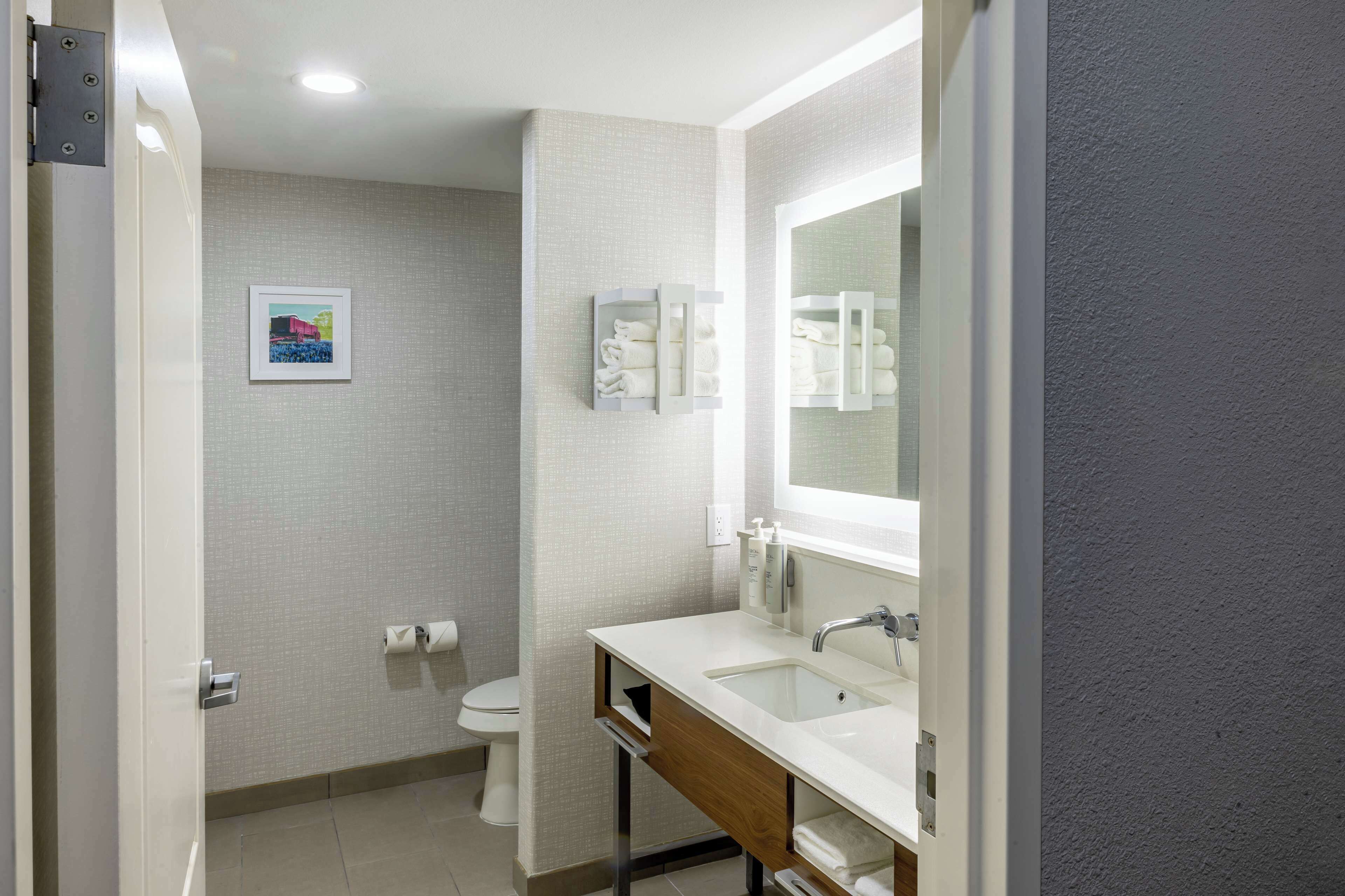 combined shower/bathtub, free toiletries, hair dryer, towels