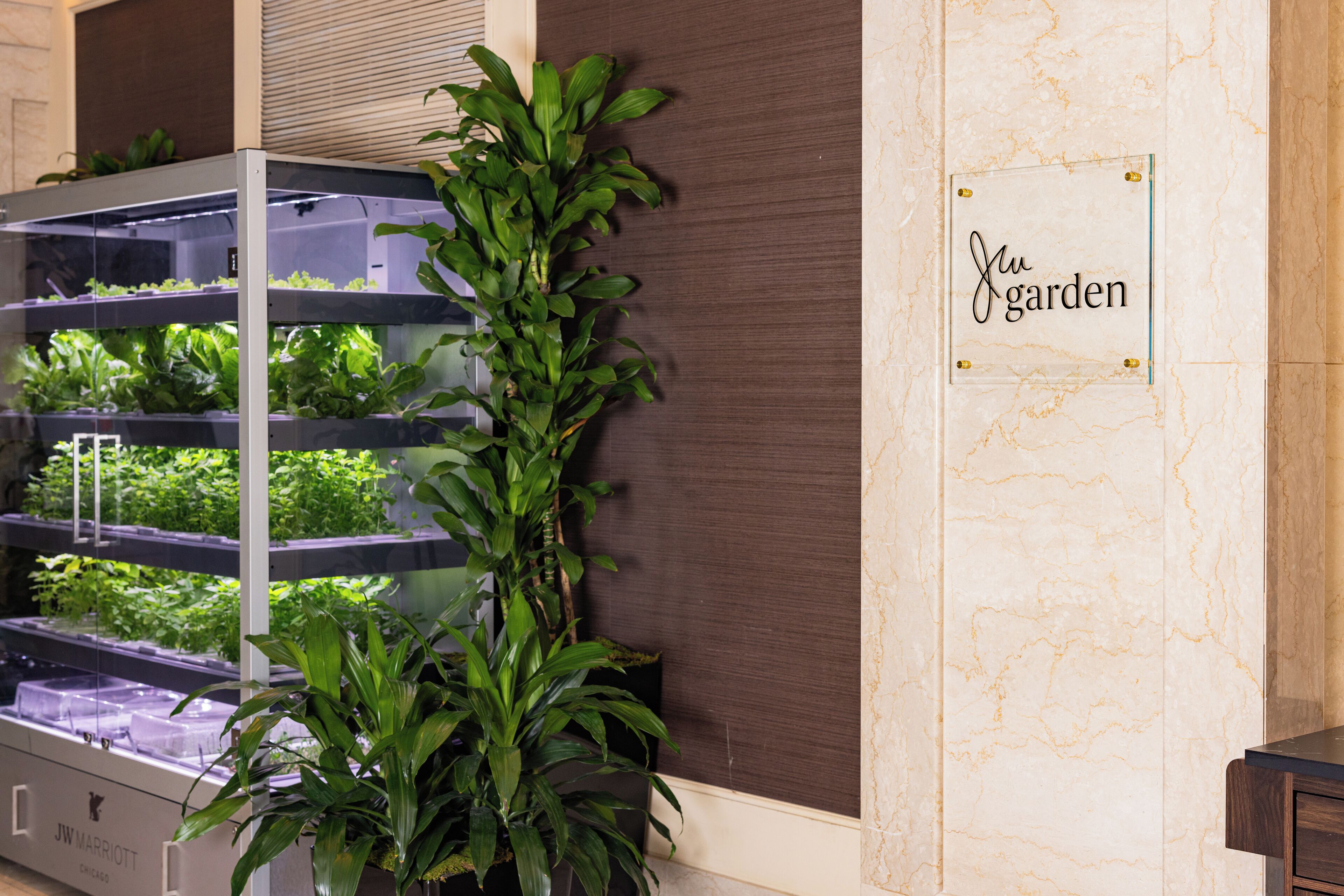 A vertical garden with a sign reading 'Jw Garden' next to a marble wall.
