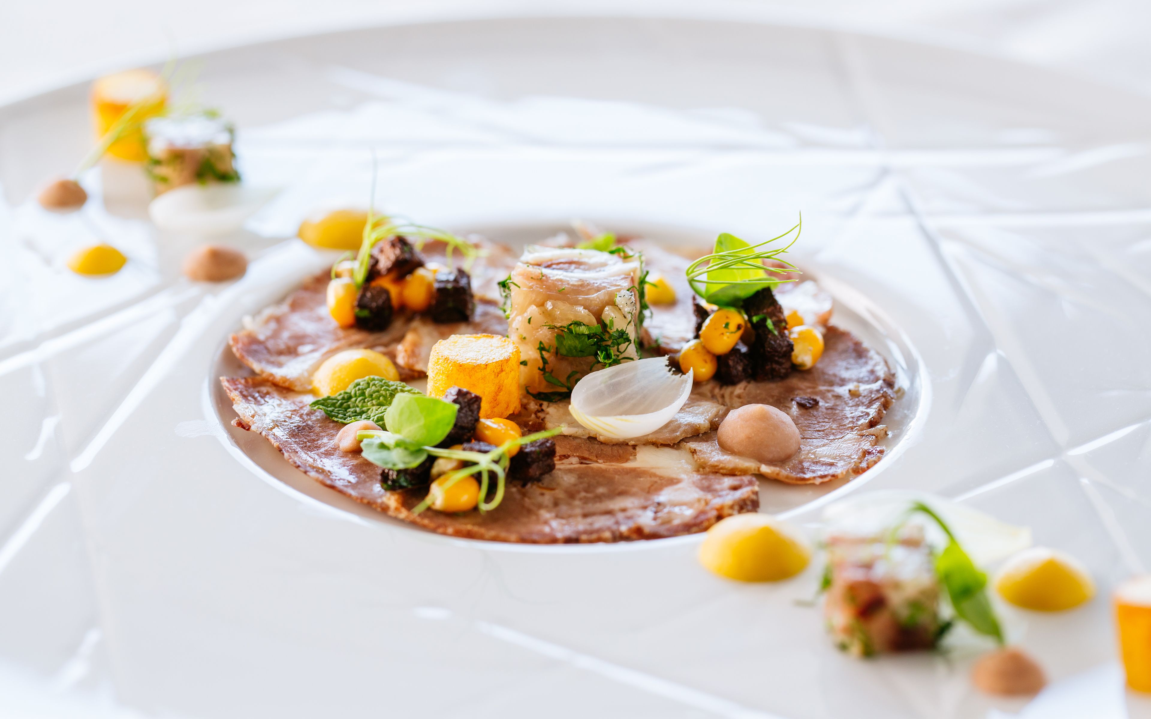 Une assiette blanche contenant divers aliments, notamment de la viande, des légumes et des accompagnements.