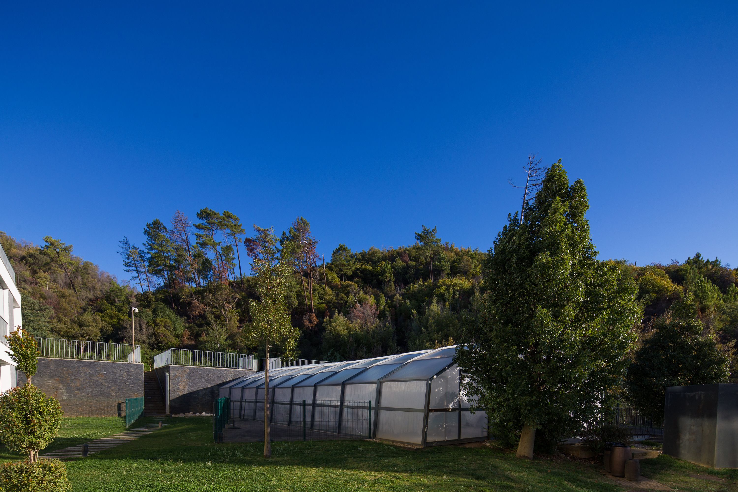 A greenhouse structure with a transparent roof, surrounded by a grassy area and trees.
