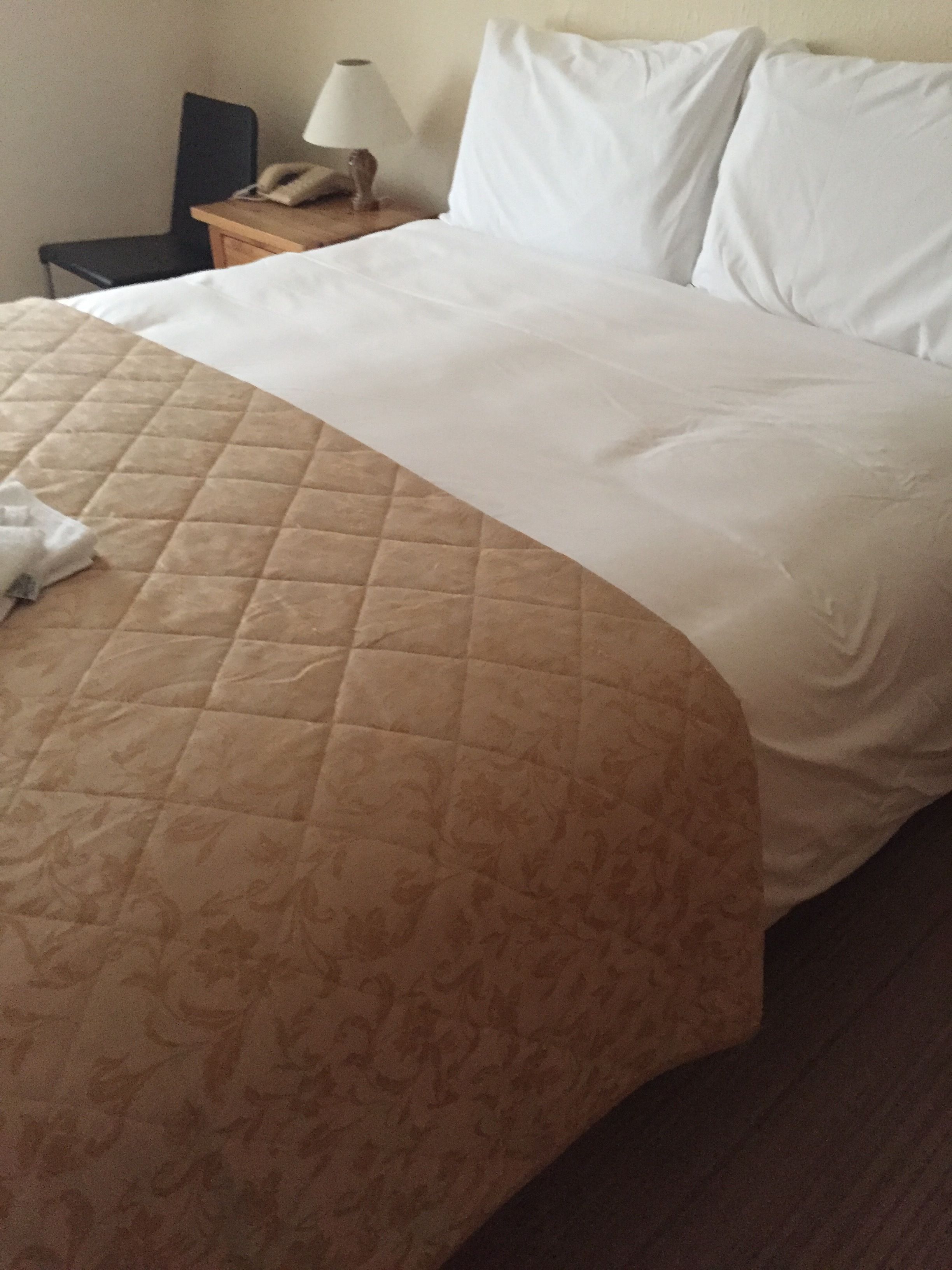 A neatly made bed with a quilted brown cover and white pillows, a bedside lamp, and a telephone on a wooden nightstand.