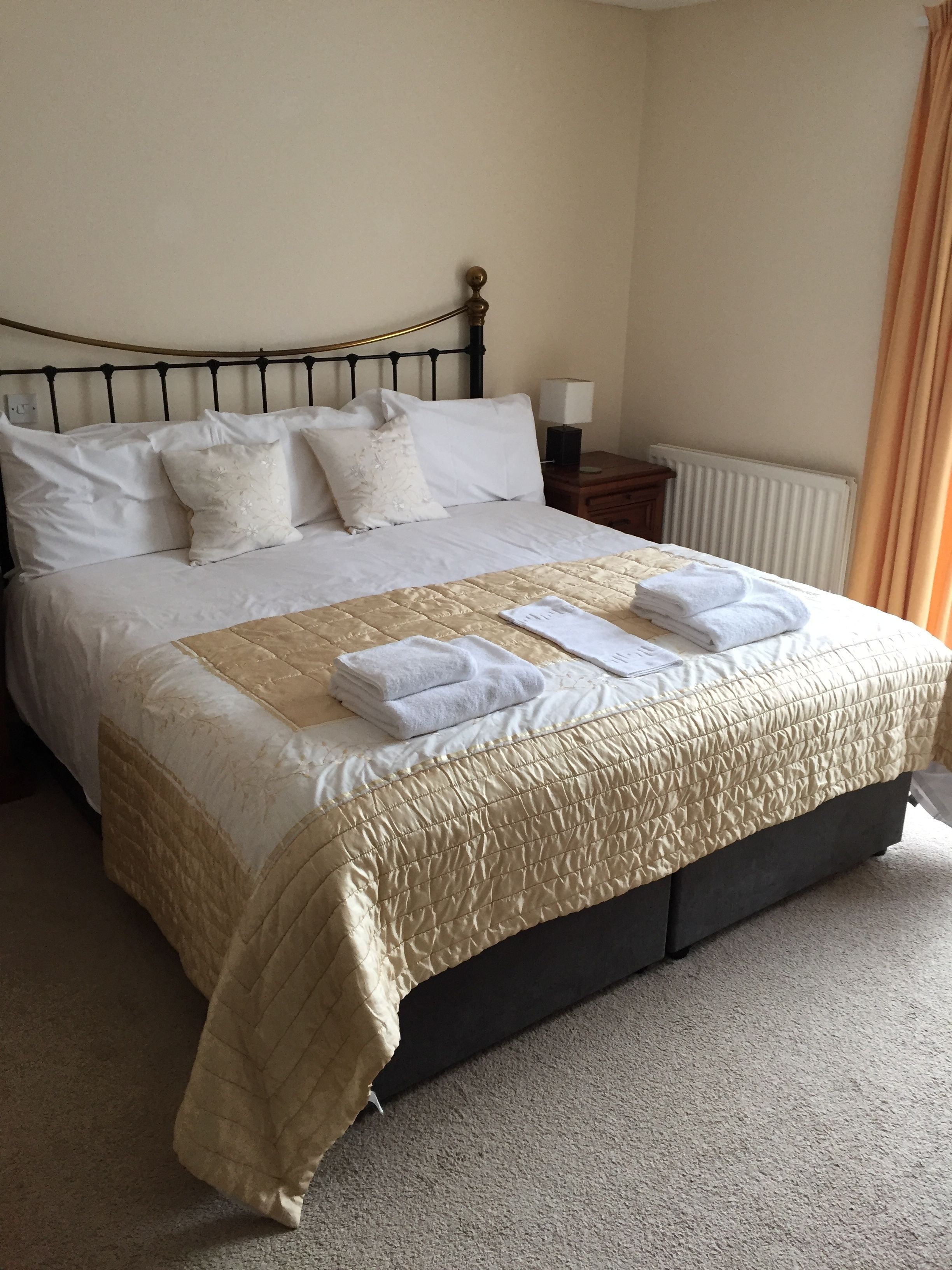 Classic King Room  | View from room