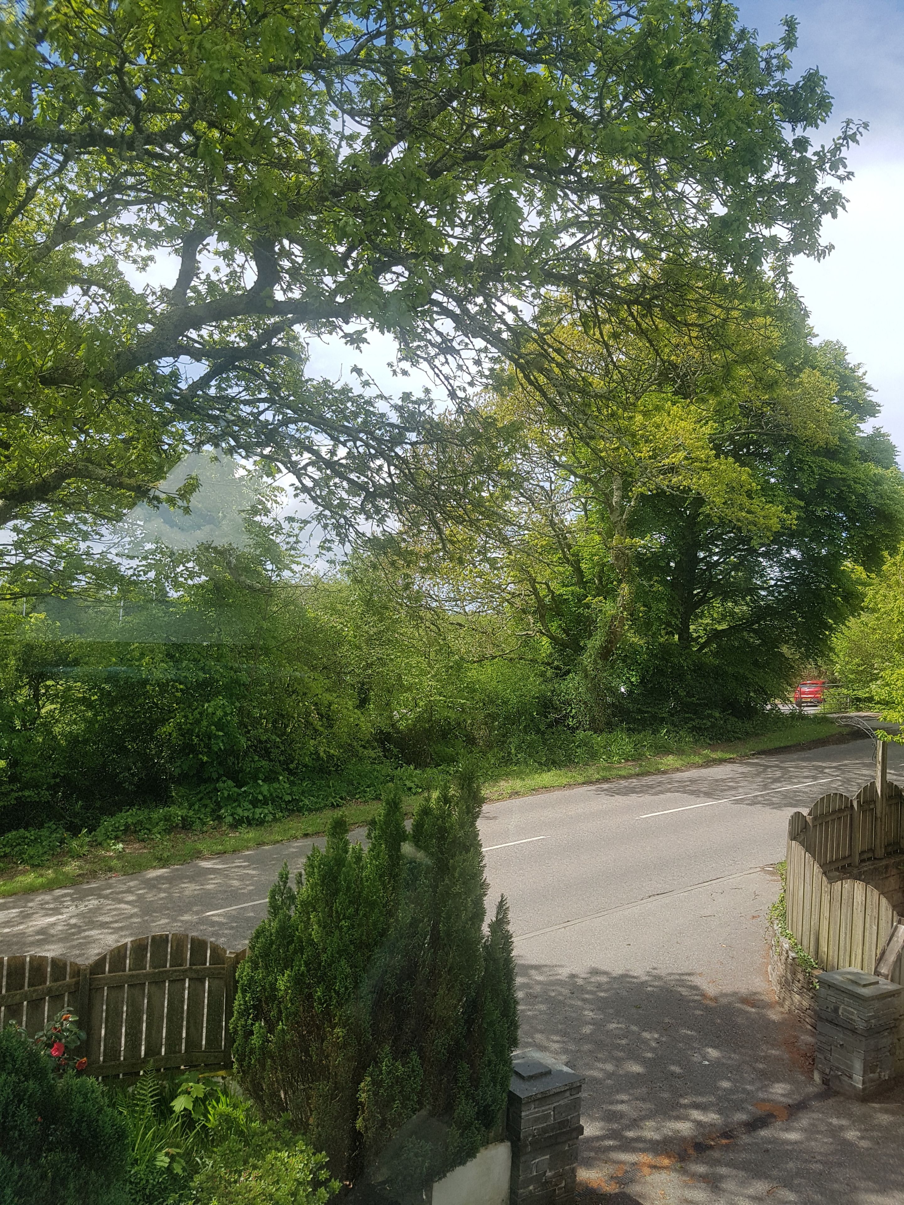 Une route de campagne bordée d’une clôture en bois et de verdure de part et d’autre.