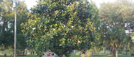 Enceinte de l’hébergement