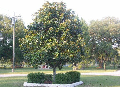 Deerwood Inn and Madison Campground