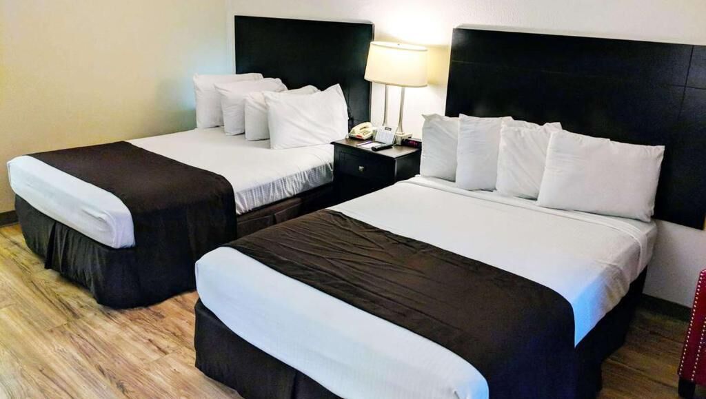 Two single beds with black headboards and white bedding, a bedside table with a lamp, and a wooden floor.