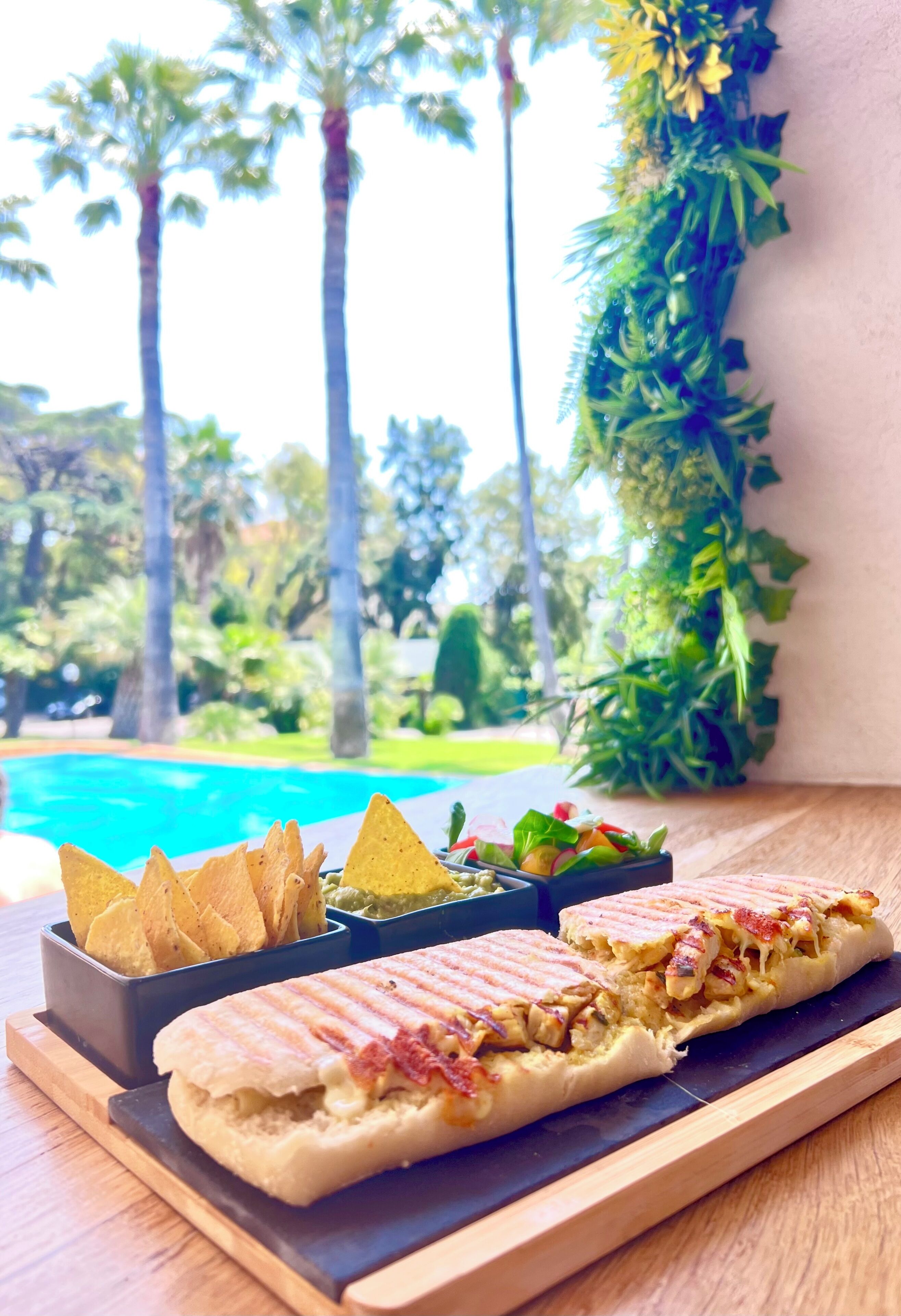 Photo - Hotel des Mimosas