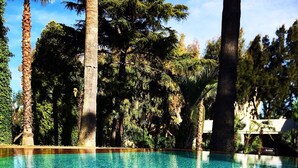 Une piscine à l’eau d’un bleu cristallin, entourée de palmiers et d’autres plantes vertes.