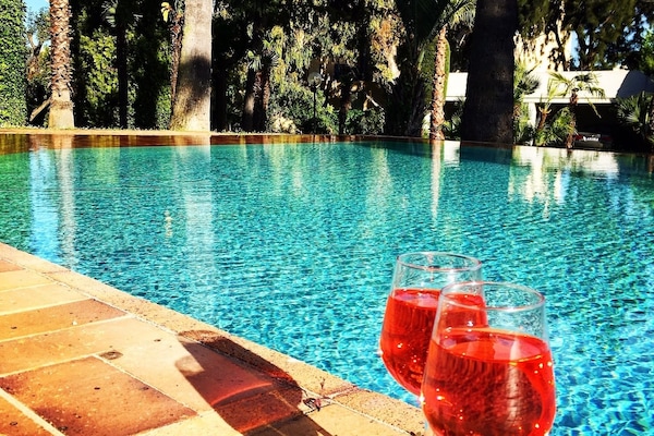 Outdoor pool, open 8 AM to 9 PM, pool umbrellas, sun loungers