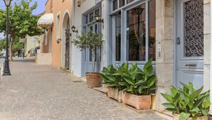 A cobblestone street with a building featuring a blue door and potted plants.