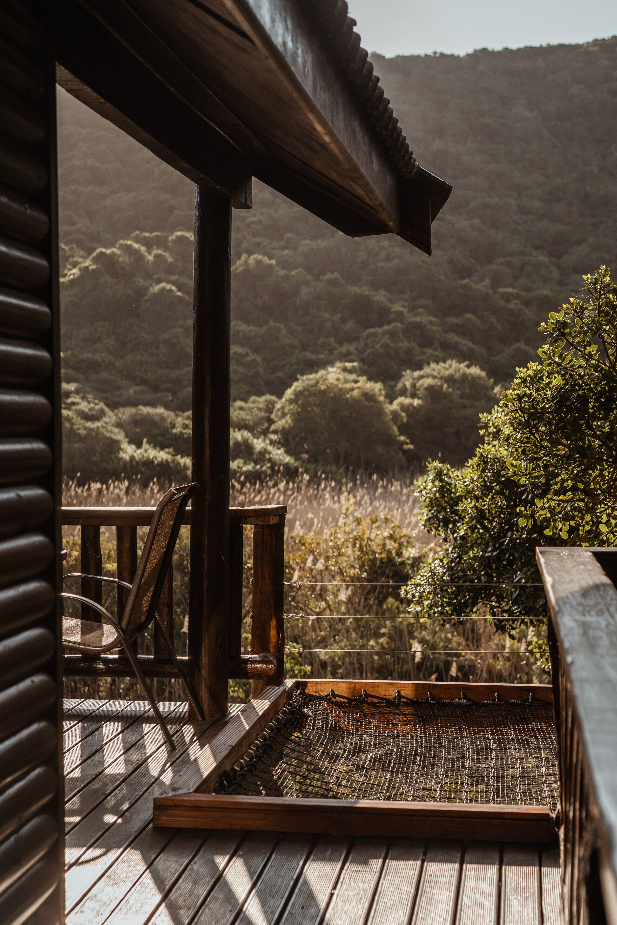 Um deck de madeira com vista para uma encosta arborizada.