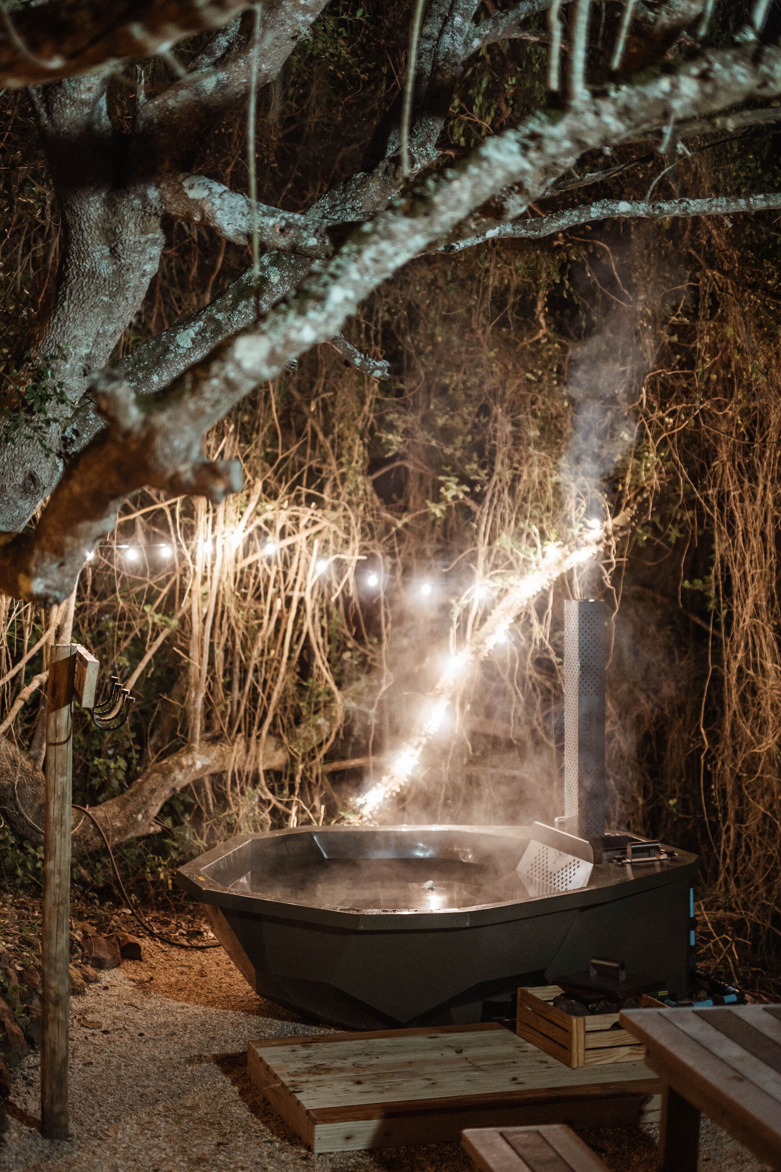 A hot tub under a tree, surrounded by natural elements.
