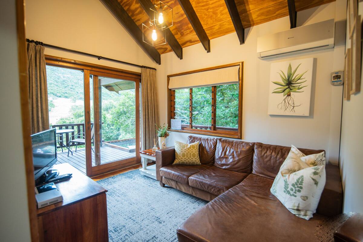 A living room with a brown leather sofa, a television, and a table with a plant. There are large windows and a view of greenery outside.