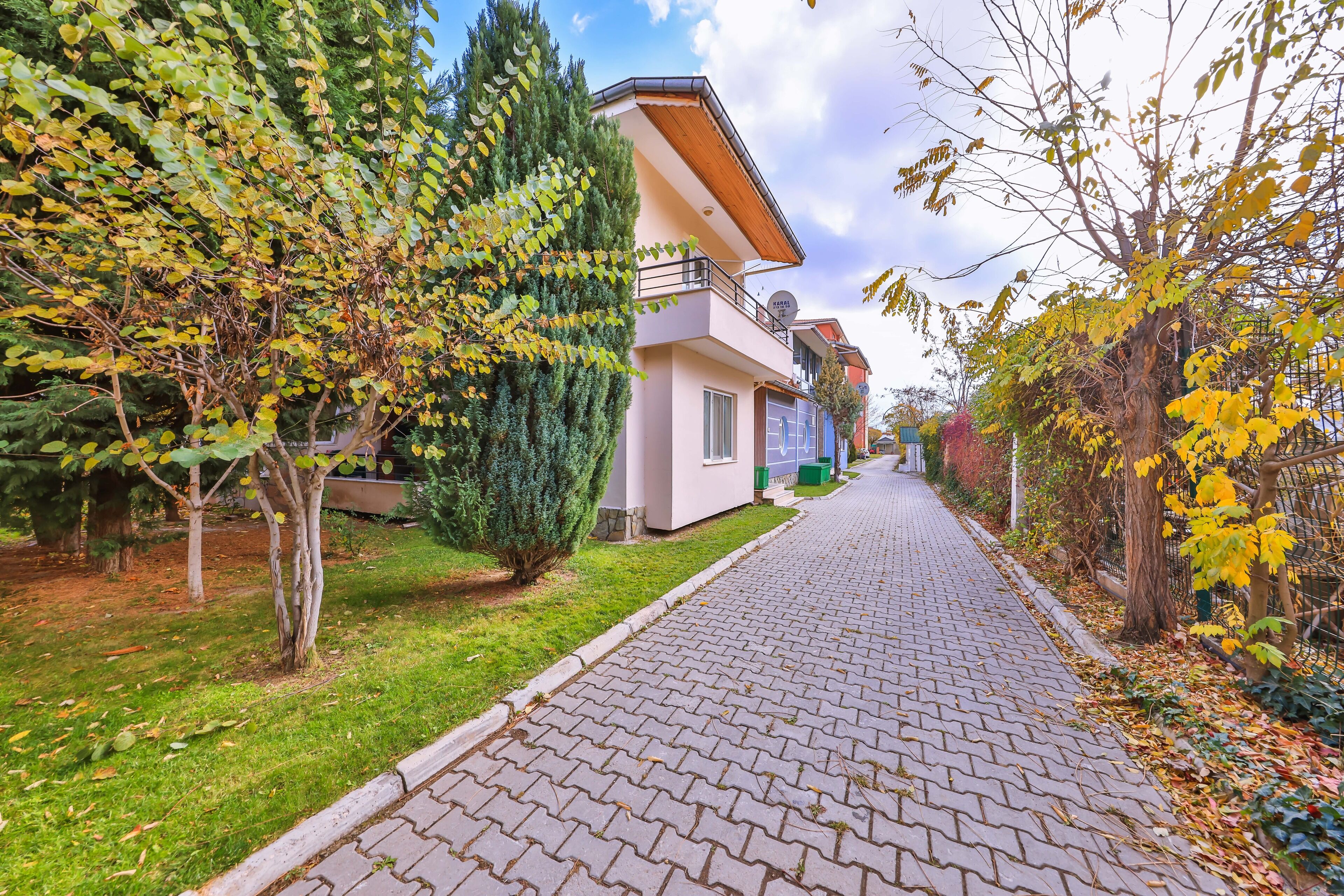 A residential street with houses, a paved walkway, and trees with autumn leaves.