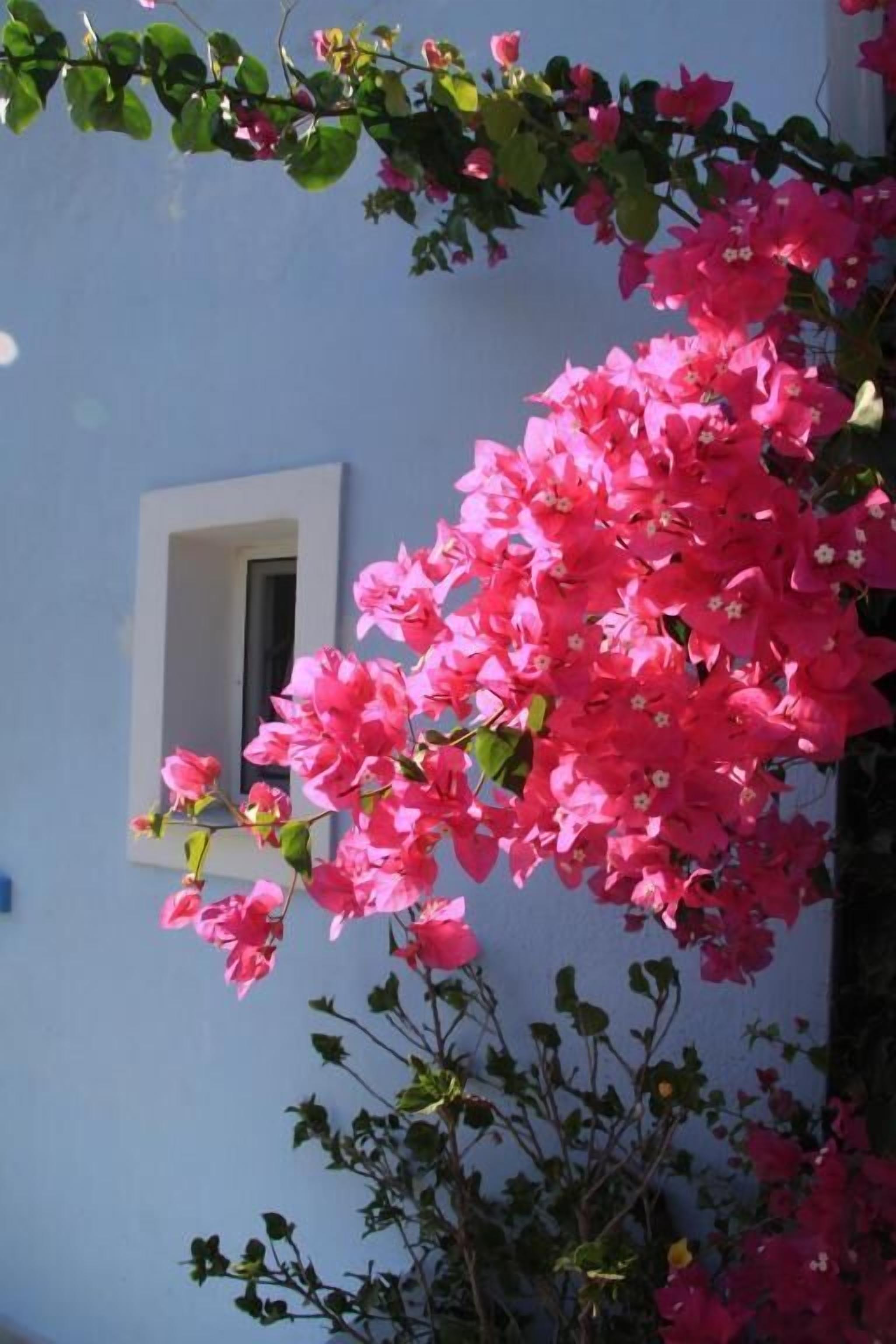 Foto - Maria's Place - Adults Only