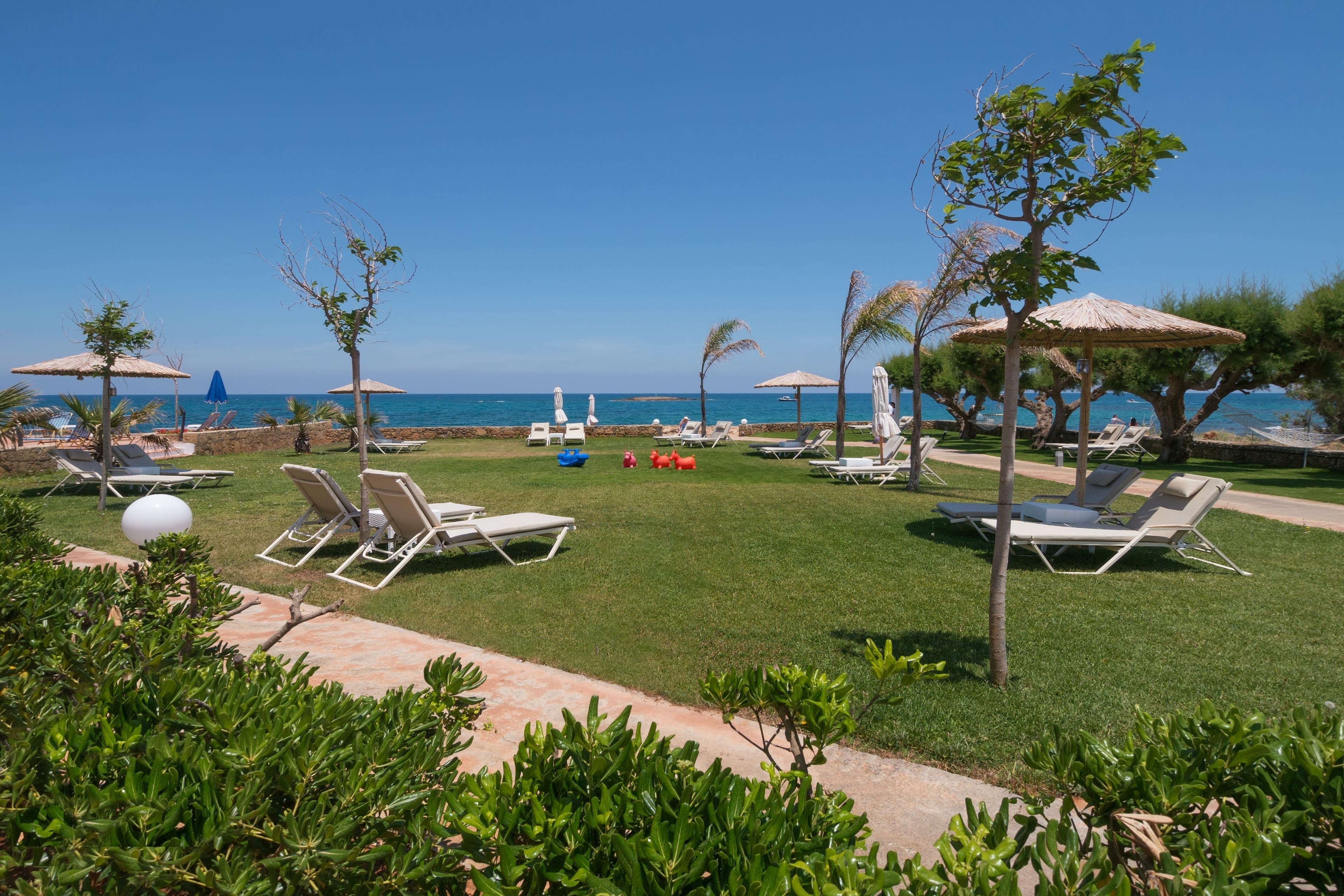 Un resort frente a la playa con tumbonas, sombrillas y una vista despejada del mar.