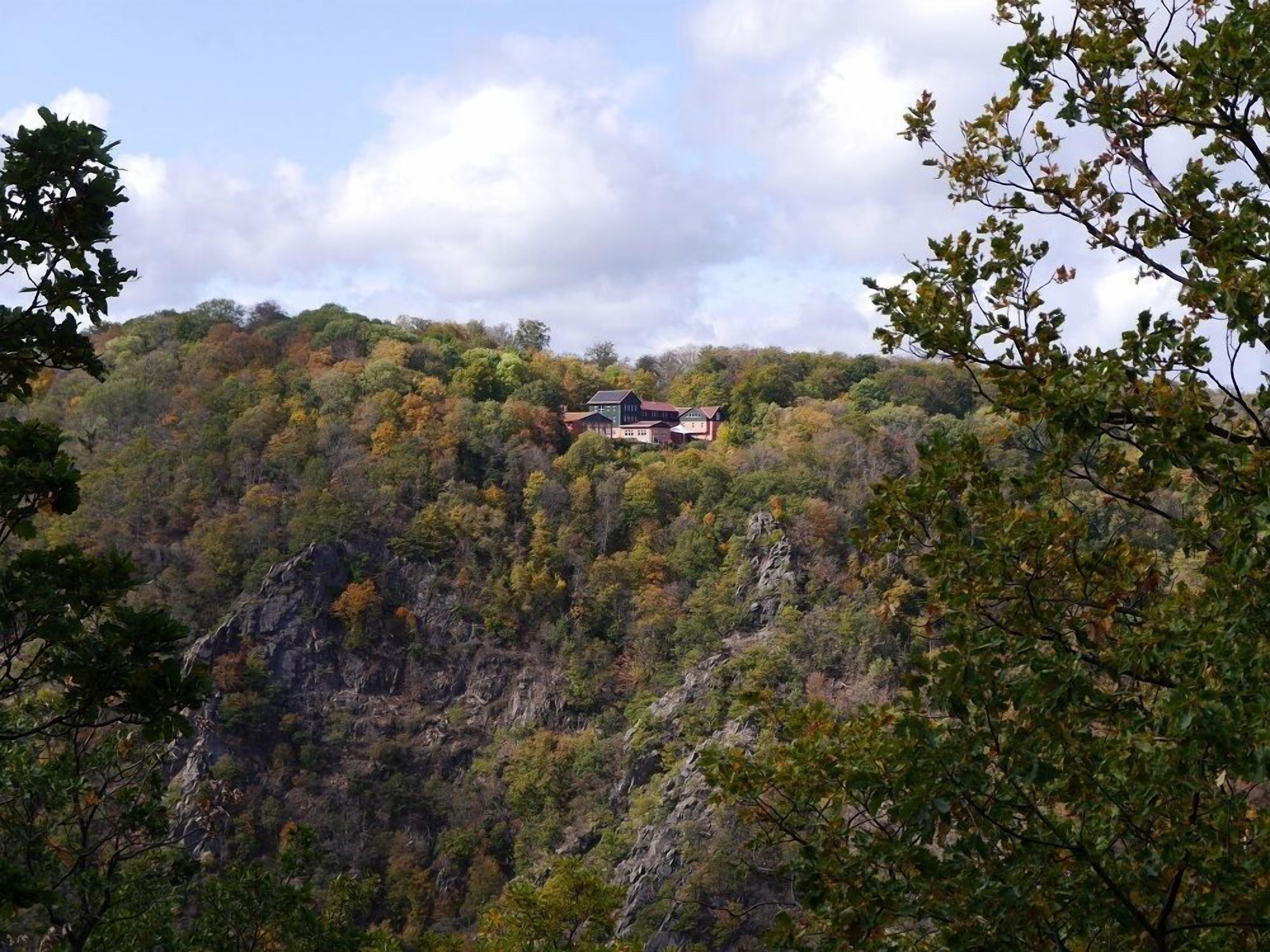Ein Haus auf einer Hügelterrasse, umgeben von dichtem Wald.