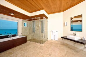 Separate tub and shower, jetted tub, free toiletries, hair dryer