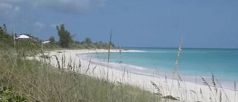 A beach with clear turquoise water, white sand, and sparse vegetation.