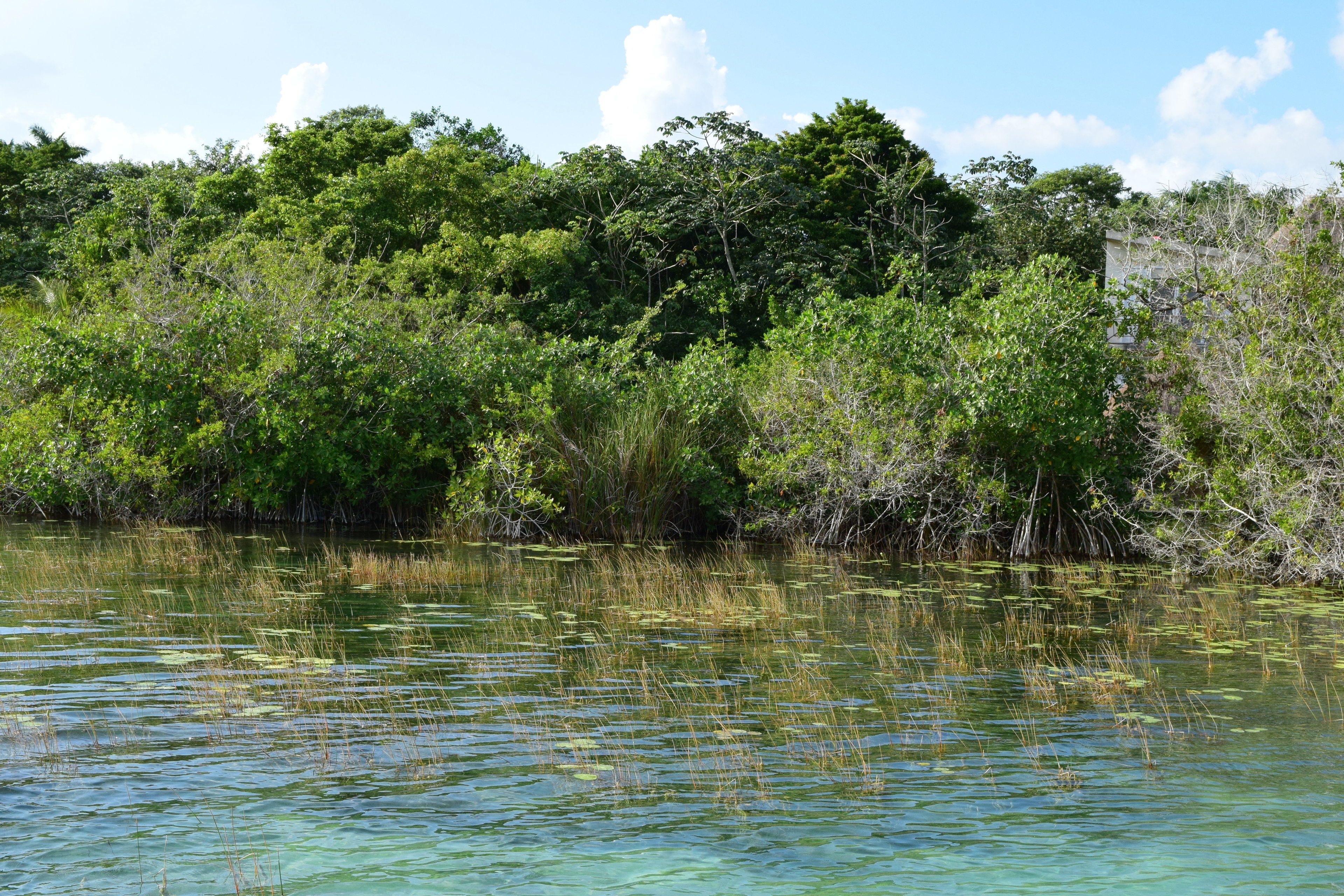 Foto - Eco Hotel Casa Corazón Bacalar
