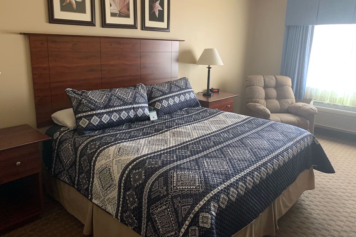 Standard Room, 1 King Bed, Non Smoking | 1 bedroom, iron/ironing board, free WiFi, bed sheets