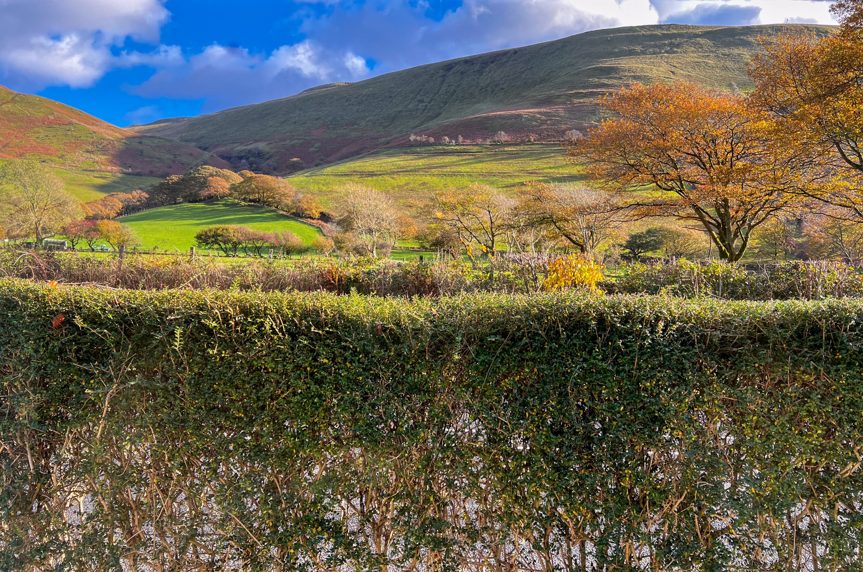 double room, ensuite | view from property