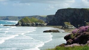 A coastal landscape with cliffs, waves, and purple flowers. - Porth Lodge Hotel (Newquay)