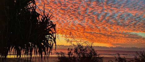 A beach scene with a sunset, palm trees, and a fence.