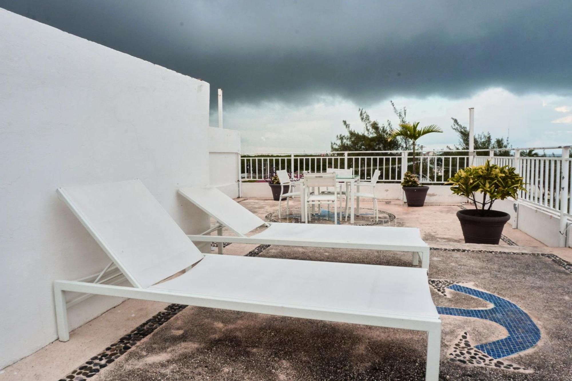 Terraza en la azotea con sillones de descanso blancos, plantas en macetas y un piso decorado con un mosaico.