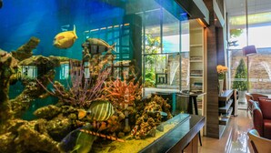 Ein Aquarium mit verschiedenen Fischen und Korallen, ein modernes Interieur mit Essbereich und Ausblick ins Freie.