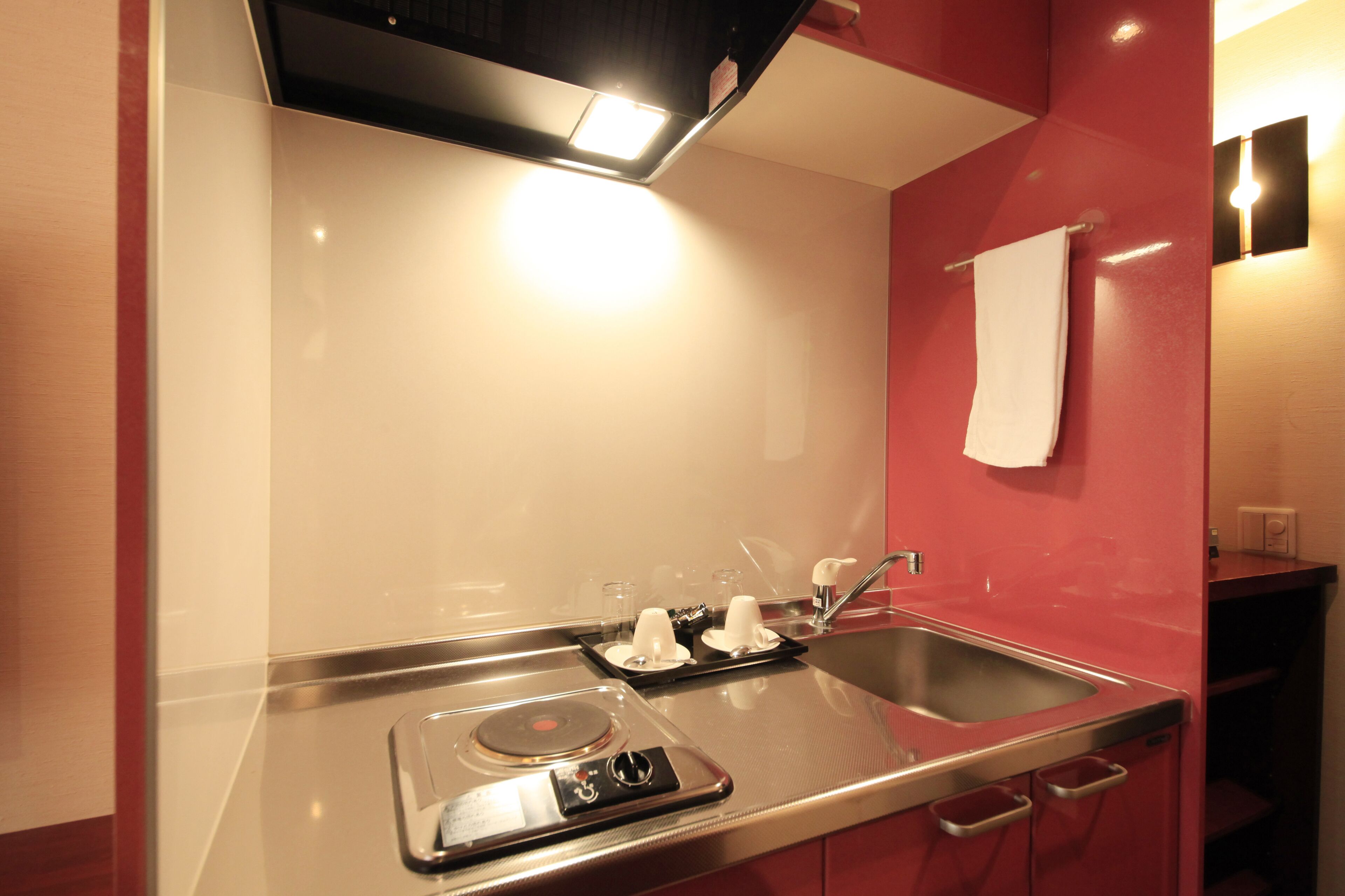 A compact kitchen with a stainless steel sink, a built-in stove, and a red wall.