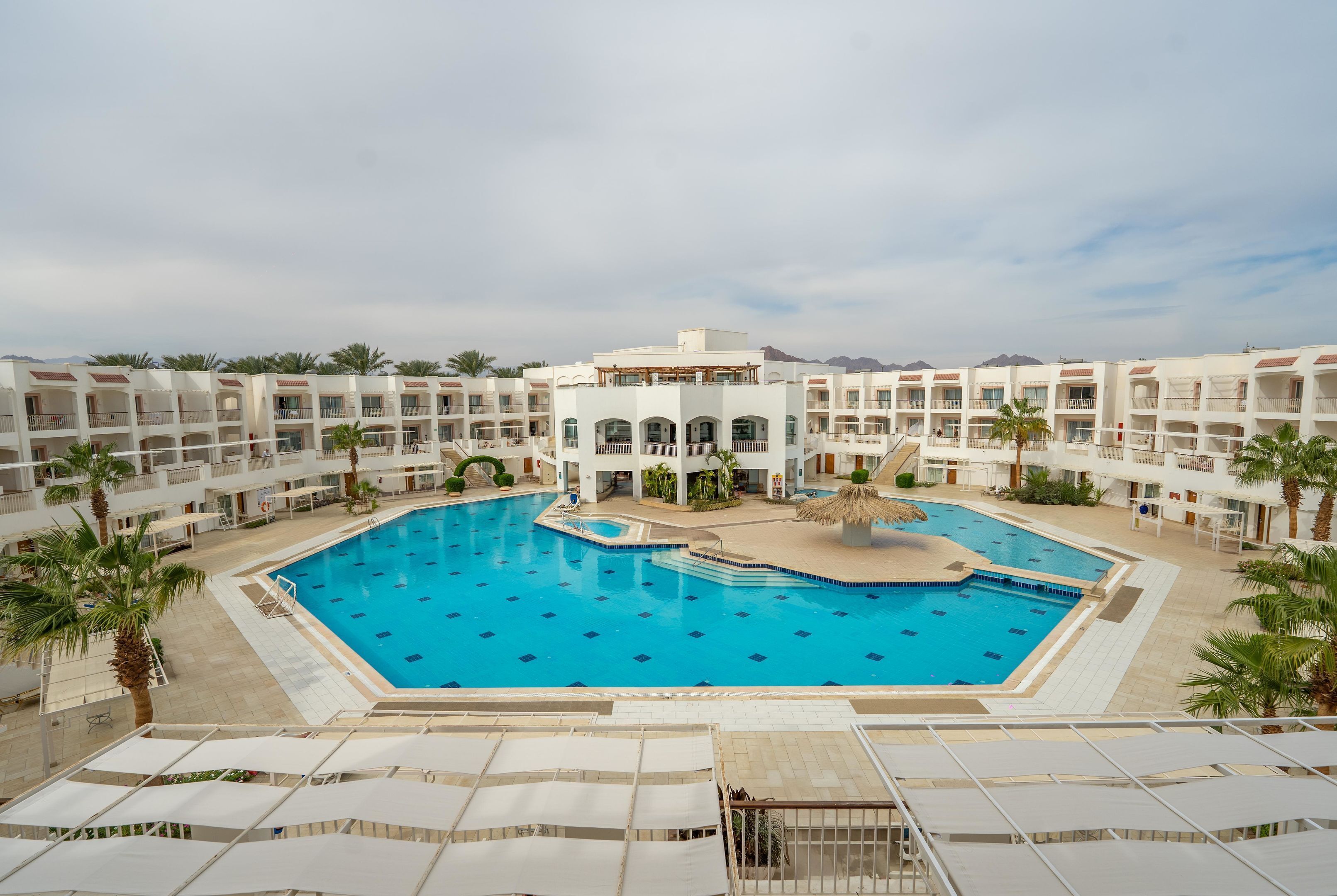 Outdoor pool, pool umbrellas, sun loungers