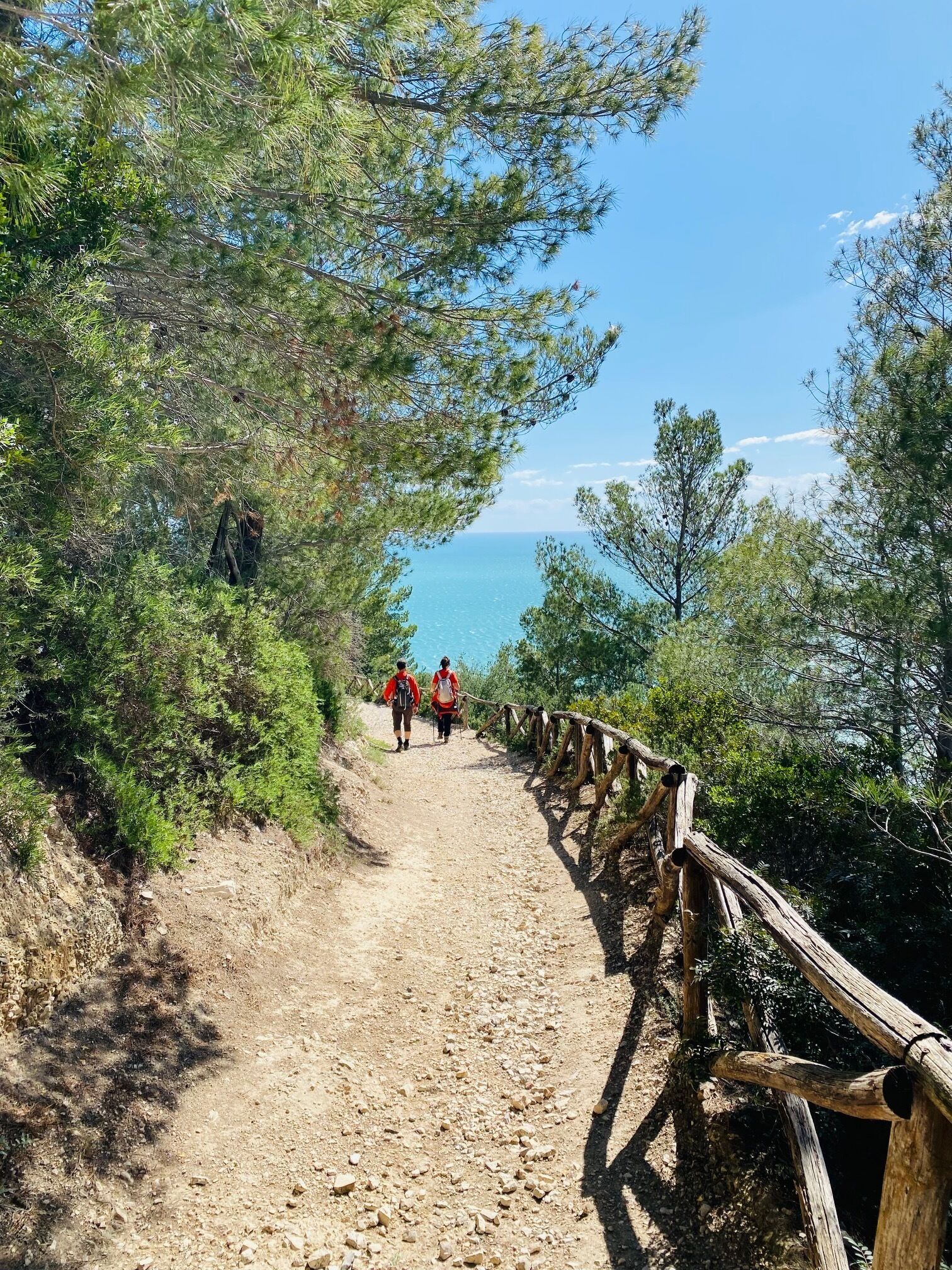 Foto - Hotel Delle More