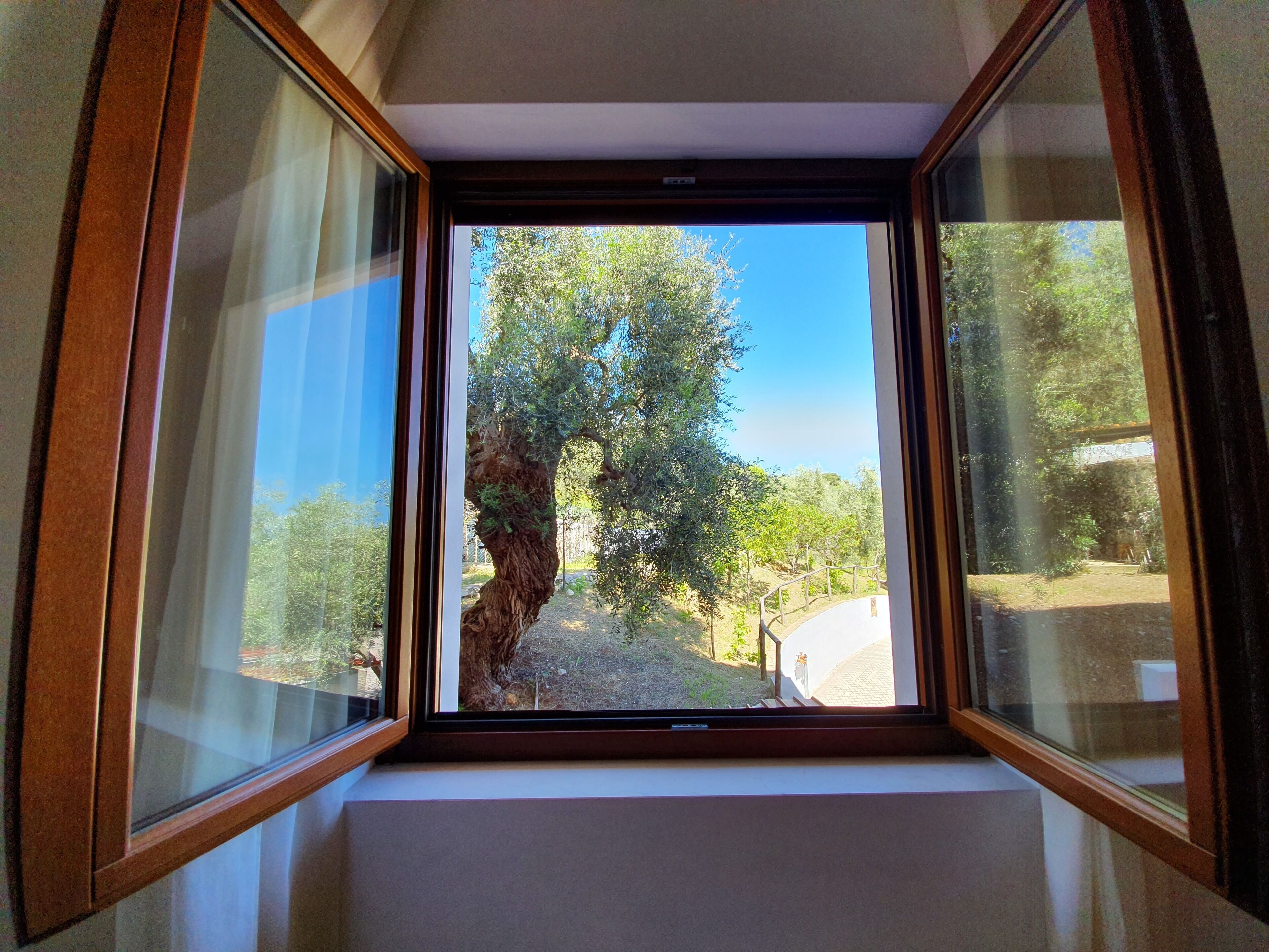 Foto - Hotel Delle More