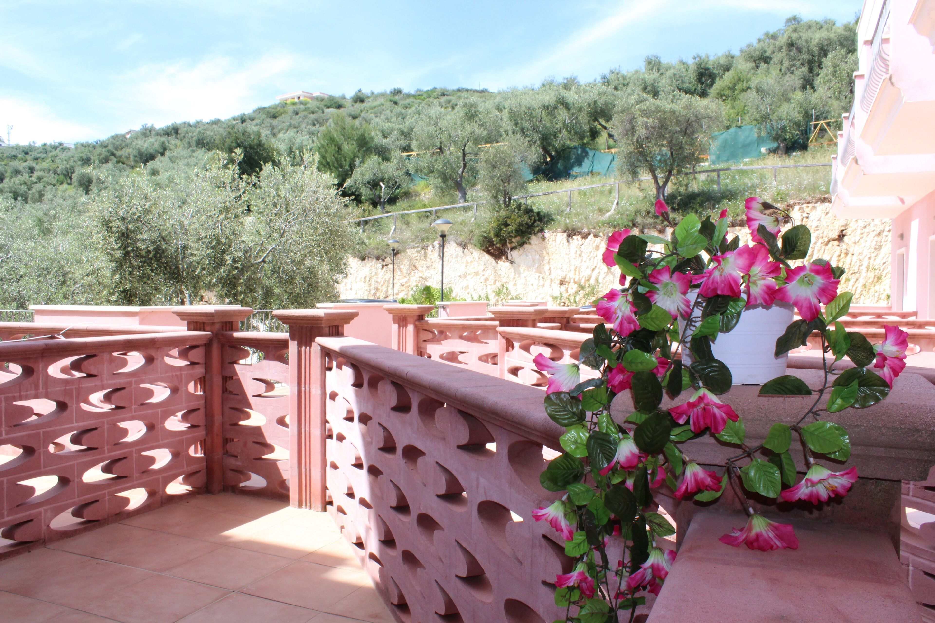 Foto - Hotel Delle More