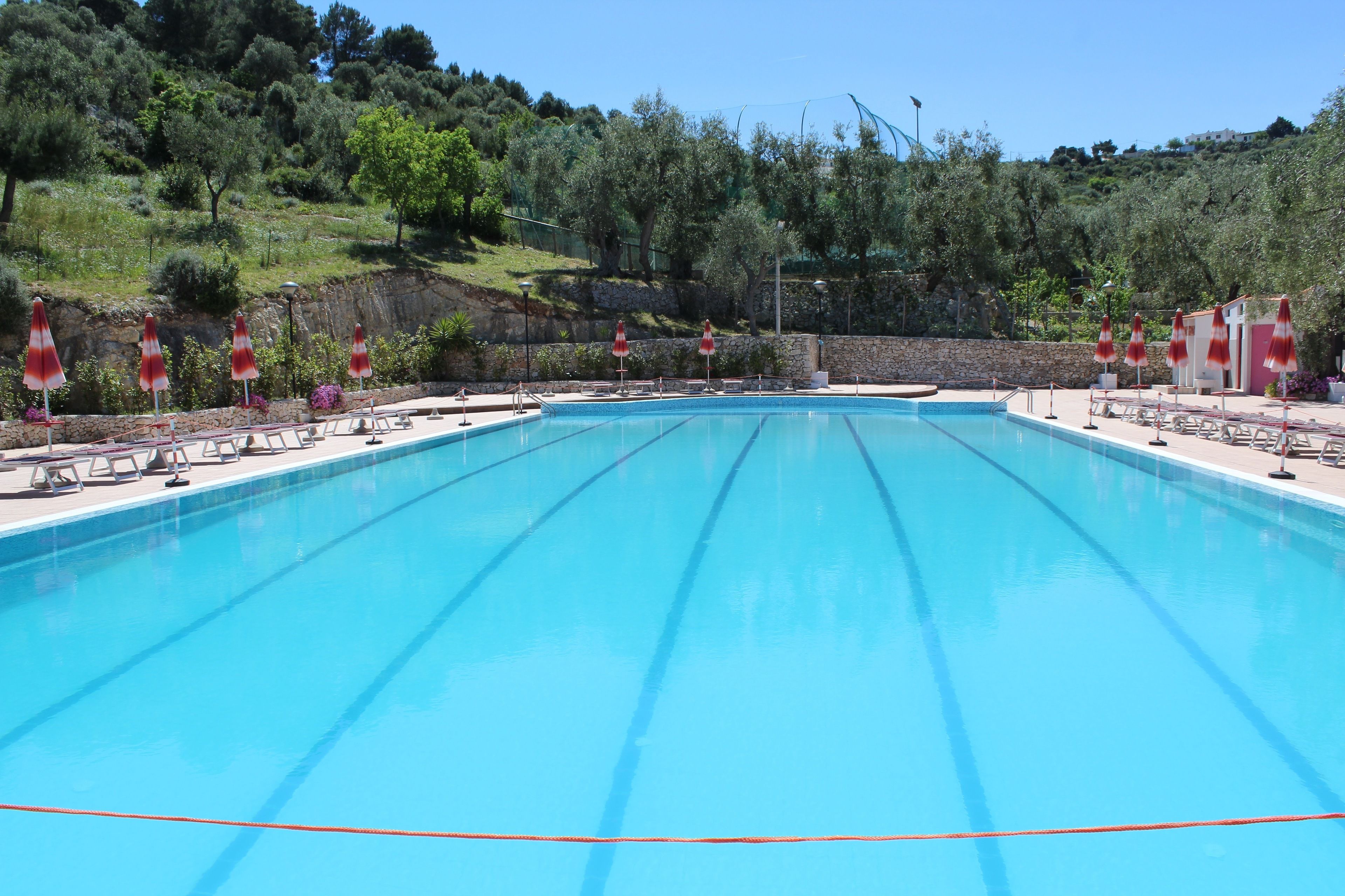 A swimming pool with clear blue water, surrounded by lounge chairs and umbrellas, set against a backdrop of trees and hills.