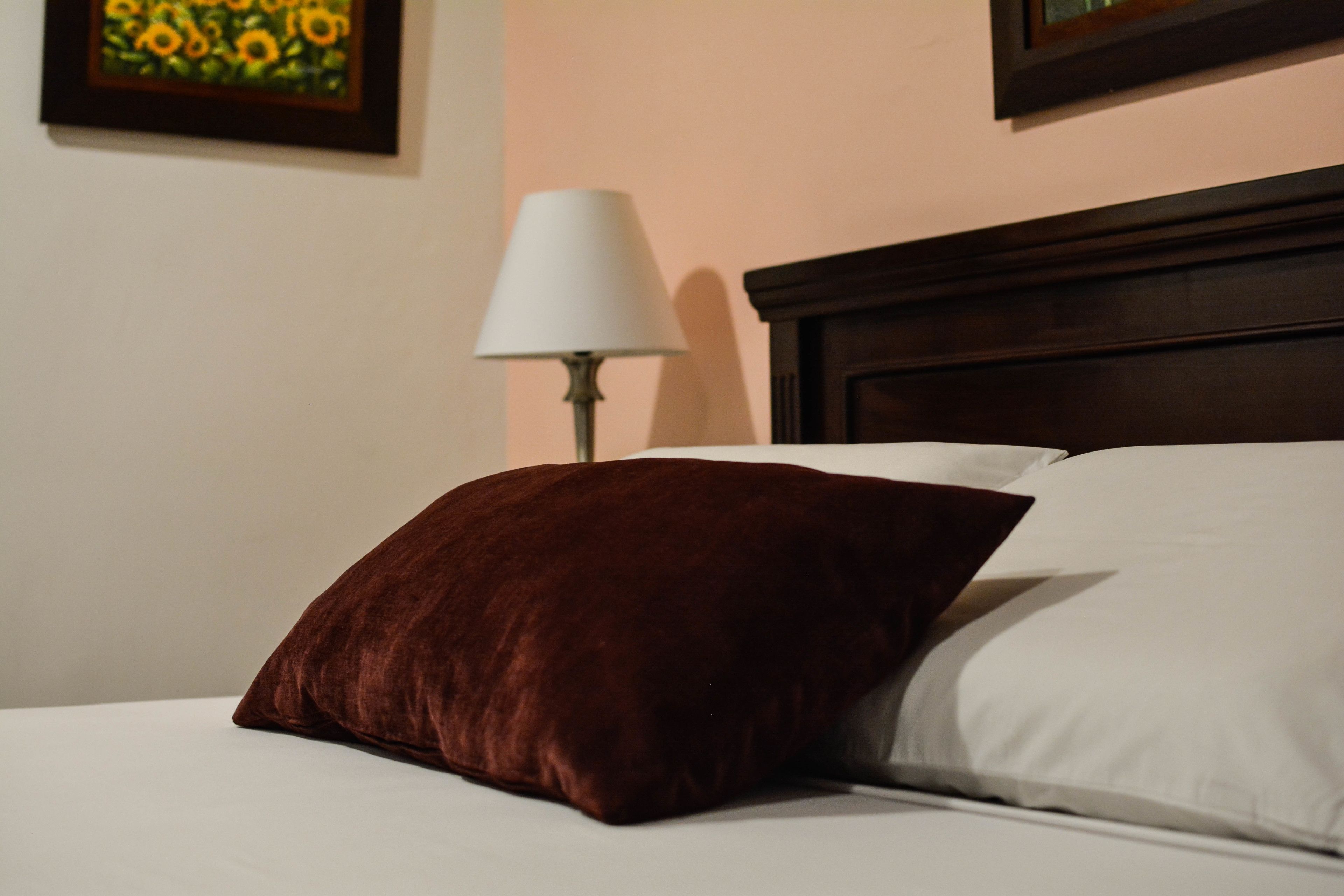 Una cama con un almohadón marrón y uno blanco, una lámpara blanca y un cuadro en la pared.