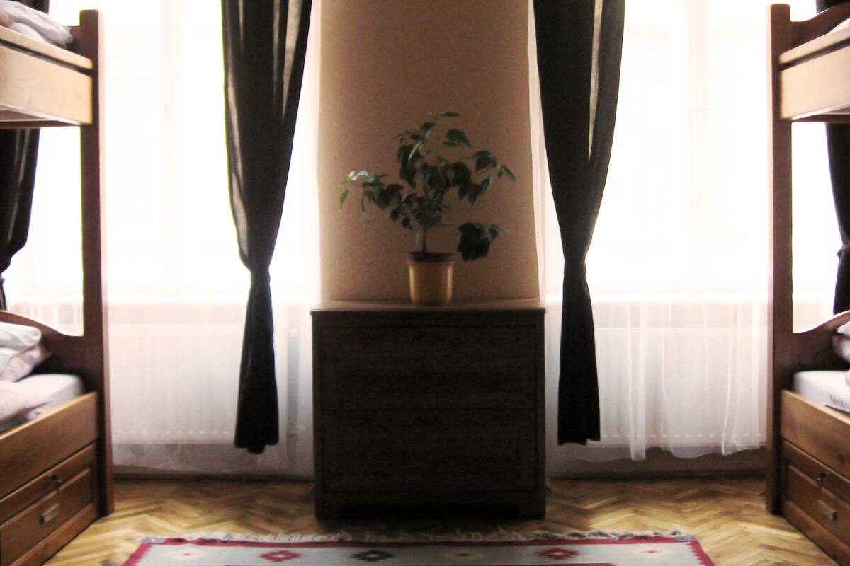 A dormitory room with bunk beds, a small wooden nightstand with a potted plant, and a window with sheer curtains.