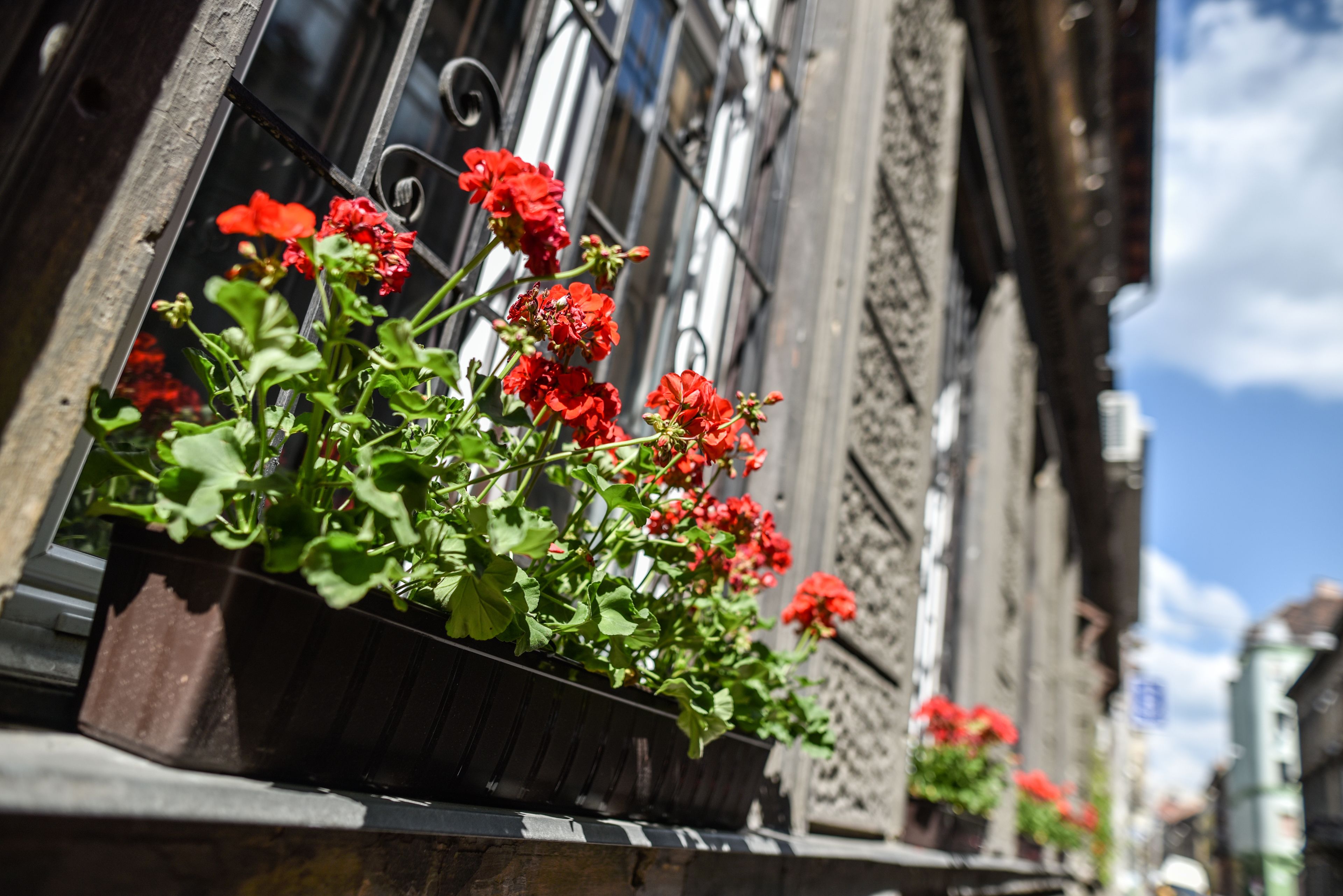 Foto - Corvin Point Rooms and Apartments