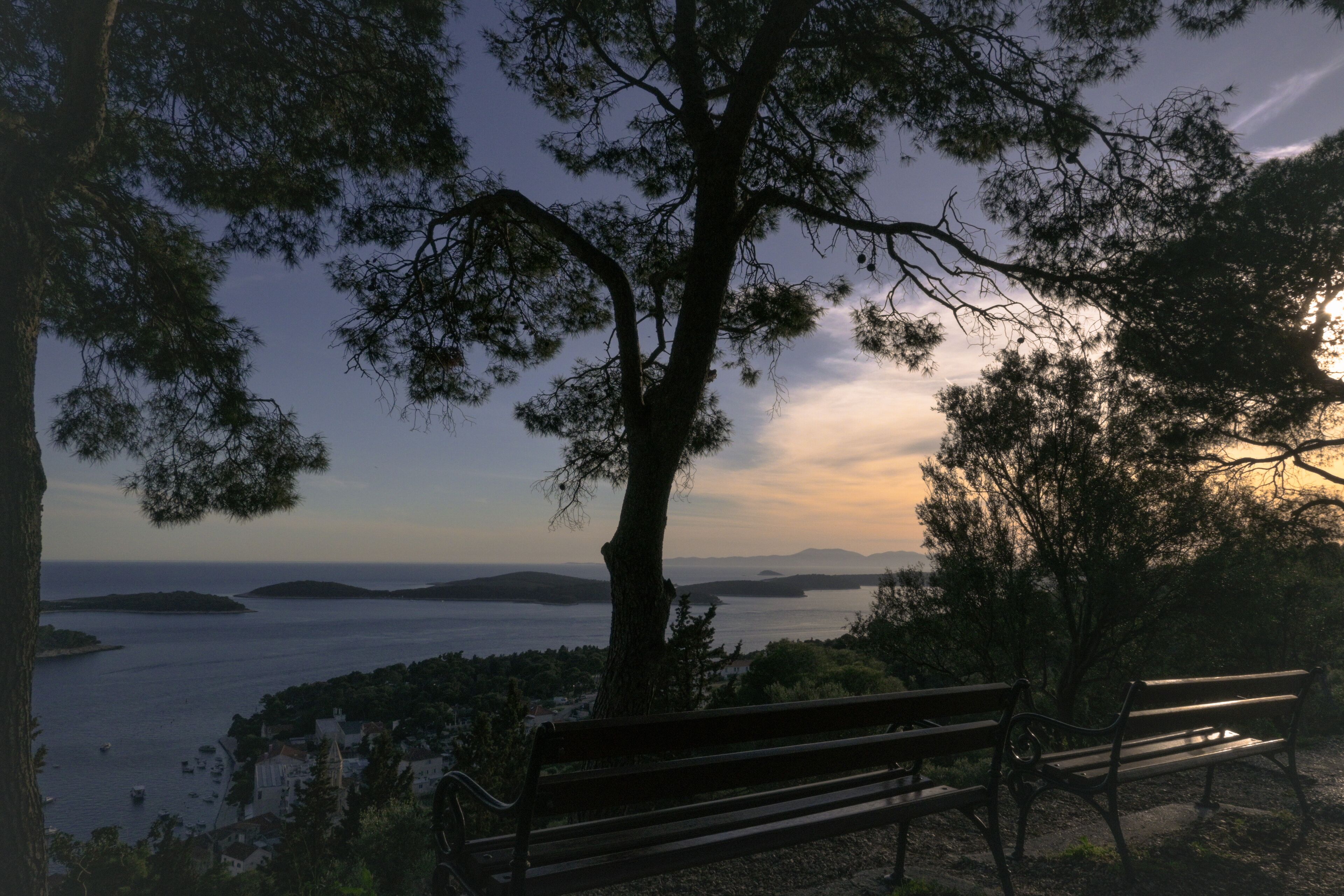 Un banc placé face à un paysage côtier, avec des arbres et une vue sur la mer.