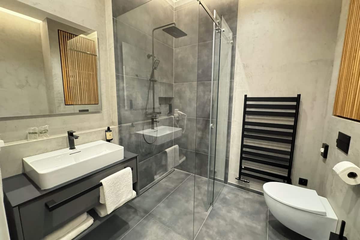 business double room, 1 king bed | bathroom | free toiletries, hair dryer, towels